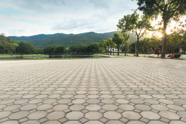 Best Concrete Paver Driveway  in Heidelberg, TX