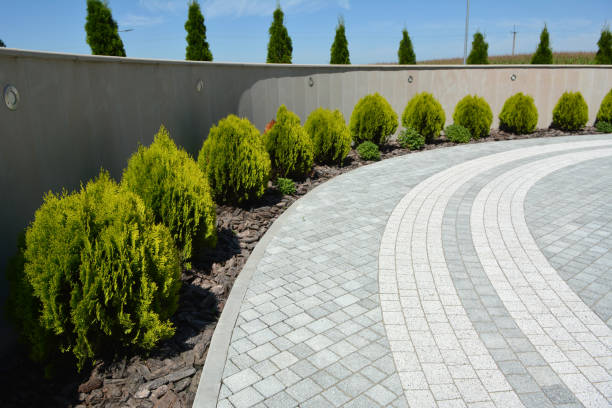 Best Decorative Driveway Pavers  in Heidelberg, TX